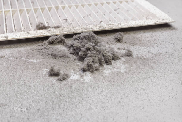 Best Residential Air Duct Cleaning  in Three Lakes, WA